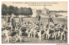 CAR-ADTP16-0810-60 - CHANTILLY