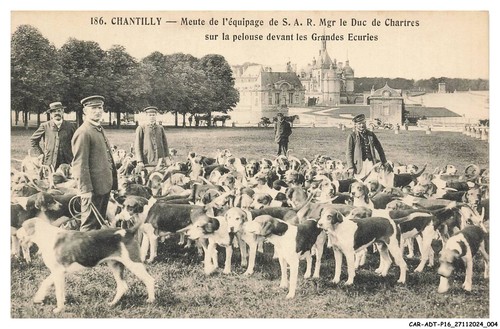 Car adtp16 0810 - car-adtp16-0810-60, chantilly