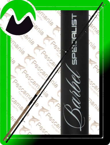 Canne maver barbel - barbel, specialist