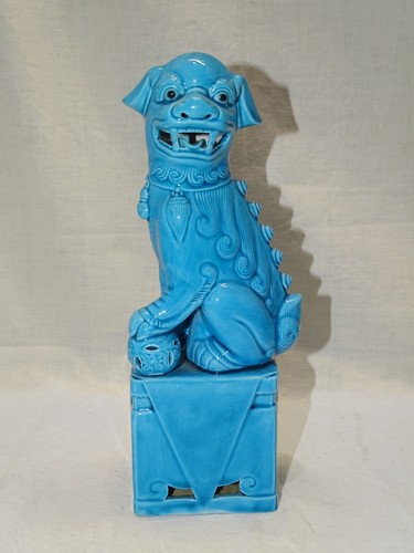 Joli sujet chien fô - chien,