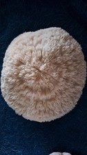 corail blanc ( 22 cm x 21 cm )