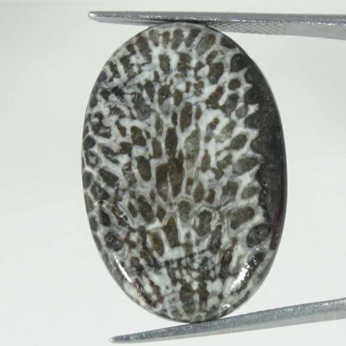 60cts cabochon ovale - cabochon,