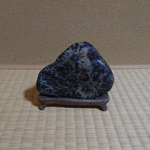 Bonsaï suiseki bonseki - bonsaï,