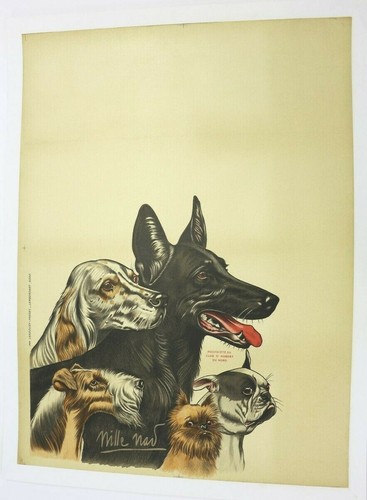 Affiche ancienne 1902 chiens - 1902,