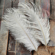 Autruche Feathers 65-70 CM 5