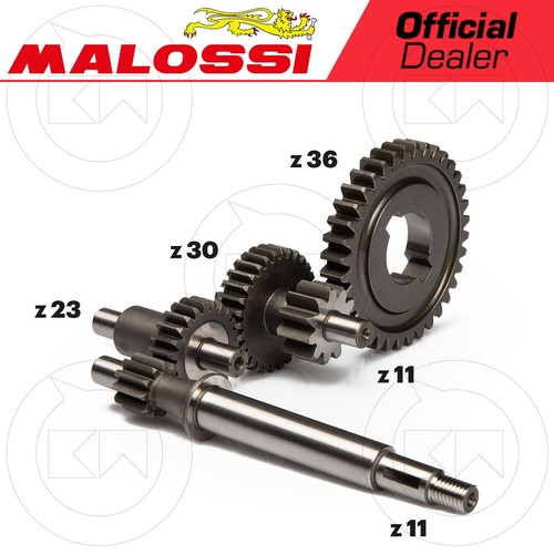 Malossi 677021 engrenages - 677021,
