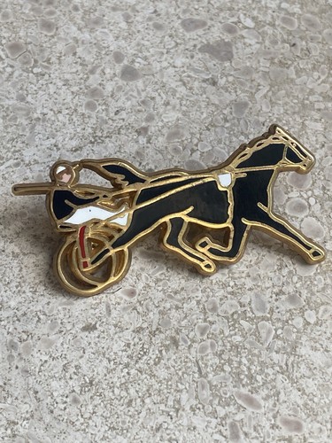 Pin sulky driver - driver, cheval