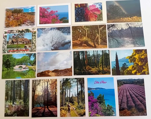 Lot 17 cartes postales - cy,