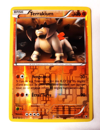 Carte pokémon terrakium - pokémon,