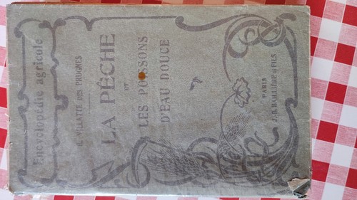 Pêche les poissons - pêche,