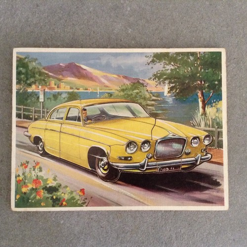 Vintage jaguar 11piece - 11piece, wooden