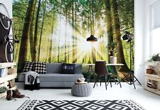 Papier Peint Vert Forêt 312x219 Cm Fresque Murale Salle À Manger Salon