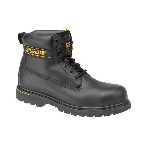 Caterpillar holton - holton,