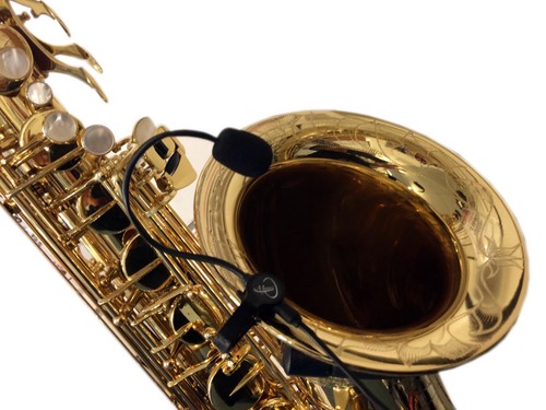 The feather melody saxophone - feather,