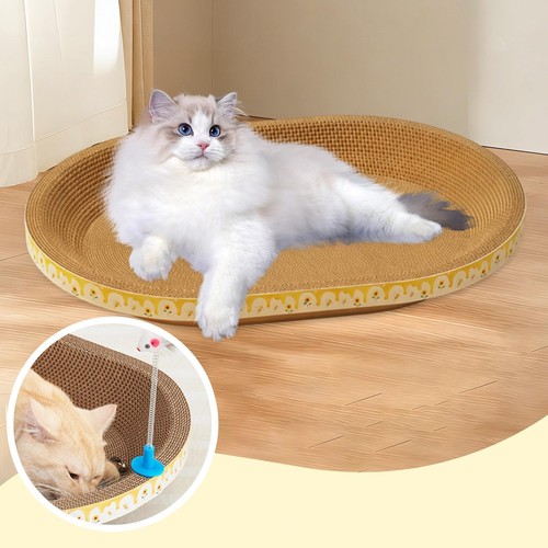 Griffoir interactif pour - , chat