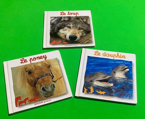 Lot livres loup le - le,