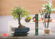 Encens Indien en bâtonnets -