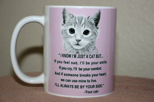 Know just a cat - i'm,