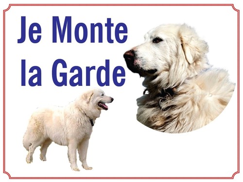 Attention chien je monte - attention, au