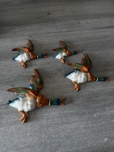 Lot canard murales - canard, 🦆