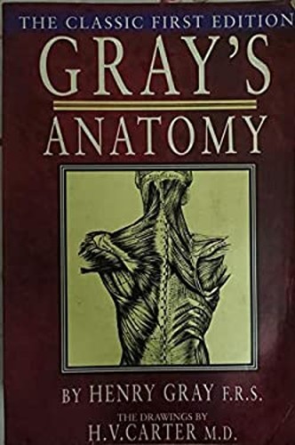 Gray anatomy première - la,