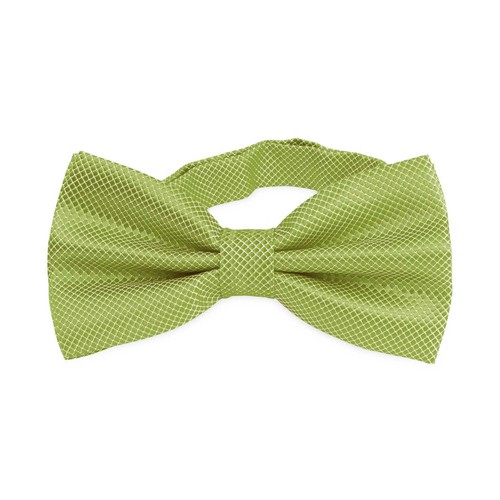 Noeud papillon élégant - , à