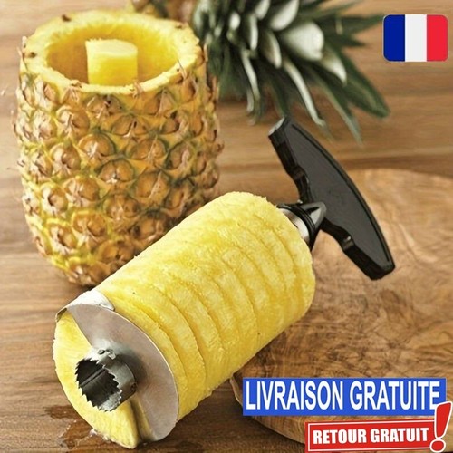 éplucheur ananas acier - Éplucheur,