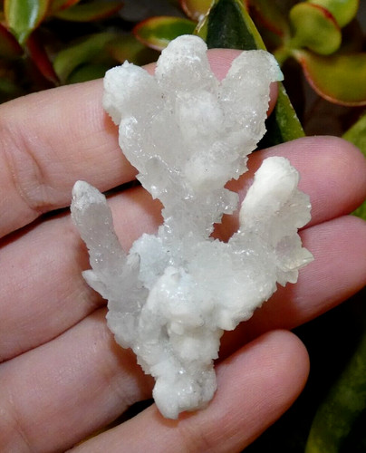 Rare aragonite blanche grèce - rare,