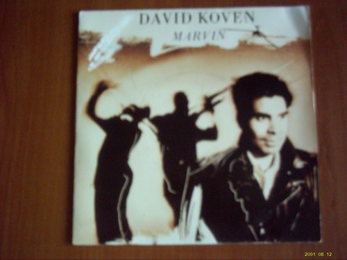 Vinyle tours david koven - vinyle,