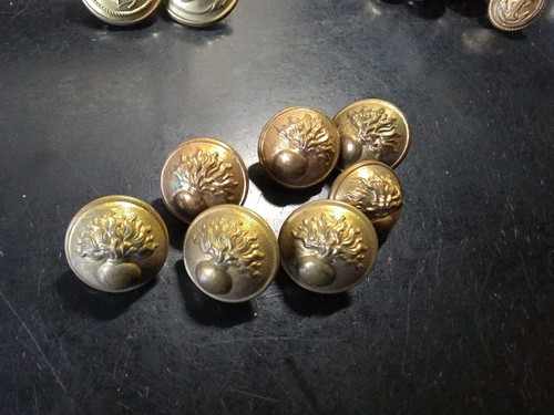 Lot boutons militaires - boutons, ou