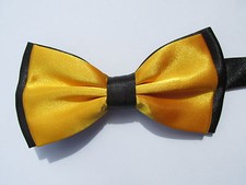 Papillon Farfalle Soie Satin