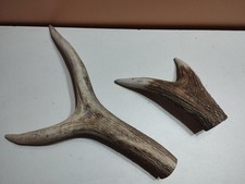 2 BOIS DE CERF POUR CHIEN