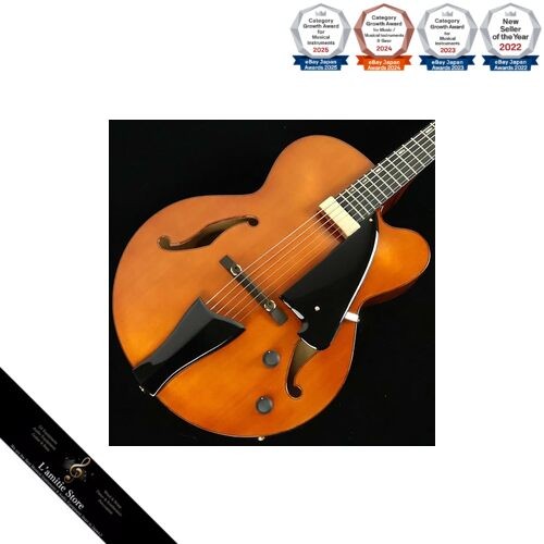 Guitare ibanez artcore - ibanez,