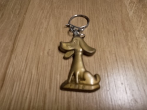 Porte clé fido - porte,