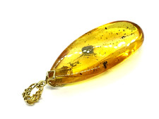 PENDENTIF AMBRE avec Insecte