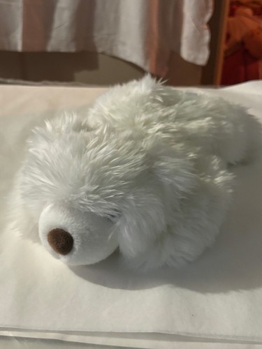 Histoire ours ourson blanc - ourson,