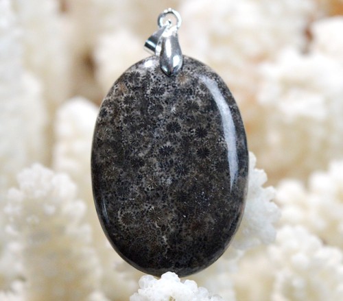 Corail fossile carats - fossile, 40