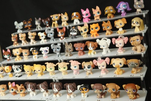 Lps nombreux chiens - :,