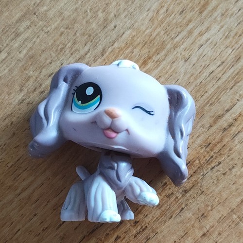 Hasbro littlest pet shop - littlest,