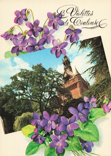 Toulouse cite des - toulouse,