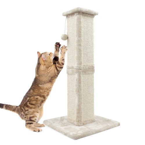 Arbre chat haut - à, balle