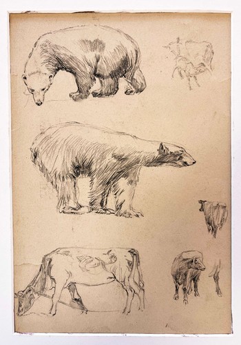 Tableau étude ours - tableau,
