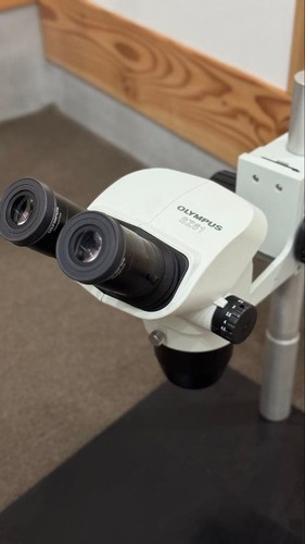 Olympus sz61 binocular stereo - sz61,