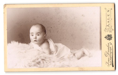 Photographie daalen - photographie,