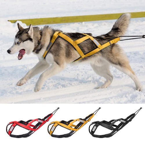 Harnais pour chien back - harnais,