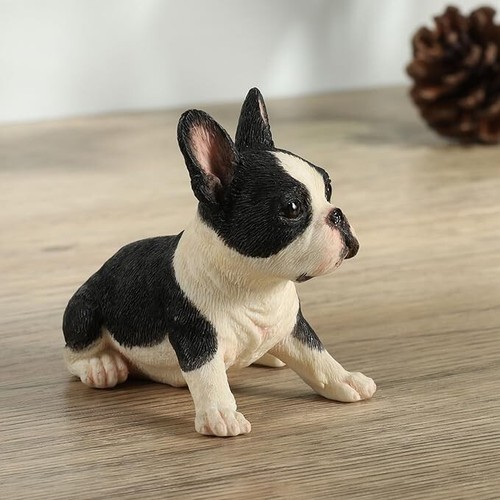 Boston terrier puppy hand - puppy,