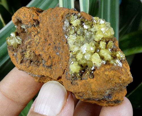 Beaux cristaux cupro - cristaux, cupro-adamite
