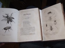 Lot livres ancien, 1830, EO