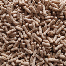 Sticks pour poisson rouge - alimentation