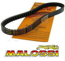 Courroie MALOSSI renforcé